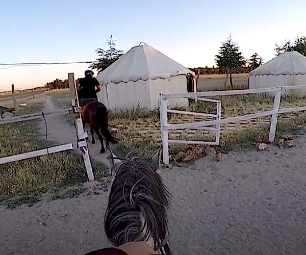 Atlar ve Uzaklar 22: Lodos, Performans Binicilik Gölbaşı - Ankara