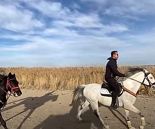 Performans Binicilik - Karayel ve Sinan Siper muhteşem ikili....